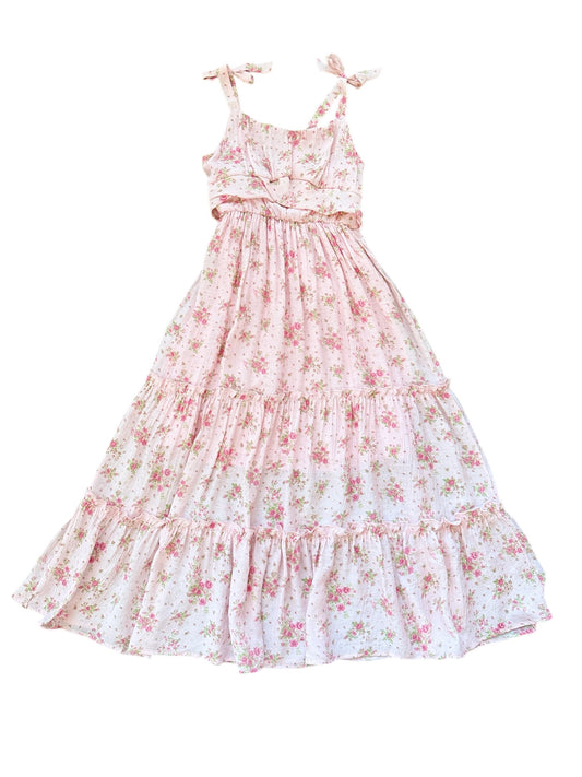 Rose Garden Maxi Dress - Blush Pink