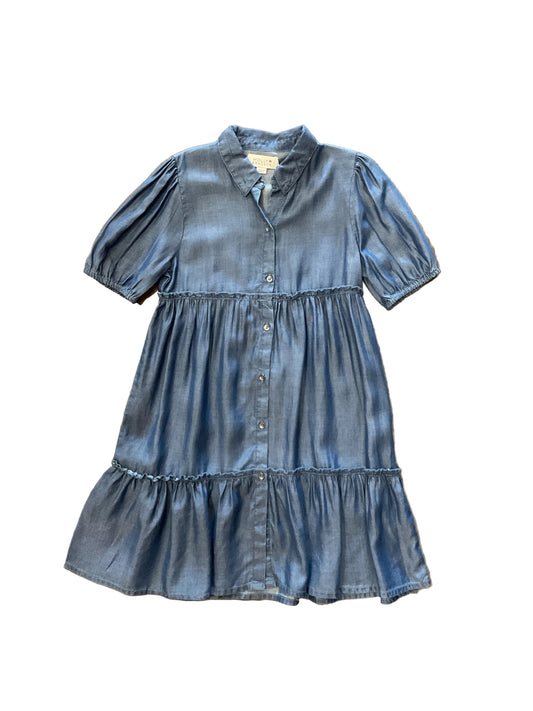 Molly Chambray Ruffle Dress